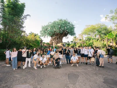 animal kingdom