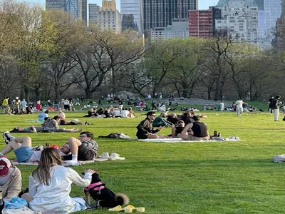 Live & Grow | Viajes educativos a Nueva York